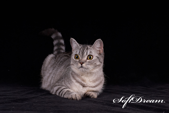 DSC_9651_tm
