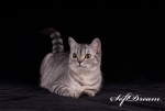 DSC_9651_tm