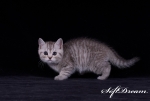 DSC_9803_tm
